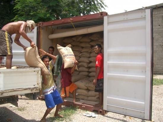 <img class='new_mark_img1' src='https://img.shop-pro.jp/img/new/icons14.gif' style='border:none;display:inline;margin:0px;padding:0px;width:auto;' />ڥ쥫Żҥޥ͡ѡ 2025ǯƦ ҡƦ ƥ⡼ ޥȹ ȥץߥ 30kg ͭJASǧ (1 2,040)Ŀ𡦸Ŀ̾ιԲ