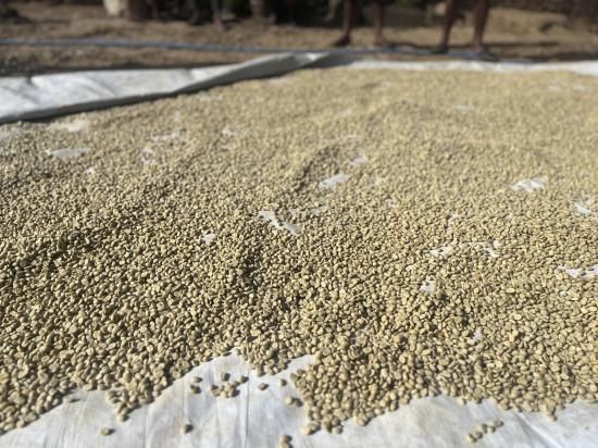 <img class='new_mark_img1' src='https://img.shop-pro.jp/img/new/icons14.gif' style='border:none;display:inline;margin:0px;padding:0px;width:auto;' />ڥ쥫Żҥޥ͡ѡ 2025ǯƦ ҡƦ ƥ⡼ ޥȹ ȥץߥ 30kg ͭJASǧ (1 2,040)Ŀ𡦸Ŀ̾ιԲ