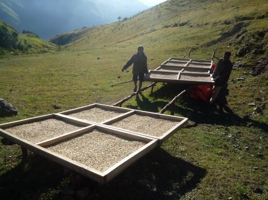 <img class='new_mark_img1' src='https://img.shop-pro.jp/img/new/icons14.gif' style='border:none;display:inline;margin:0px;padding:0px;width:auto;' />ڥ쥫Żҥޥ͡ѡ 2025ǯƦ ҡƦ ƥ⡼ ޥȹ ȥץߥ 30kg ͭJASǧ (1 2,040)Ŀ𡦸Ŀ̾ιԲ