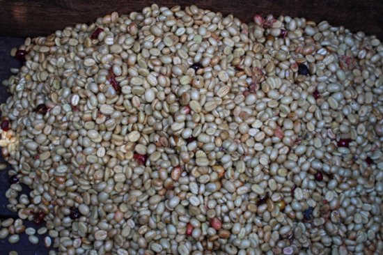 フェアトレードコーヒー メキシコ マヤビニック 中煎り 200g（豆）農薬不使用