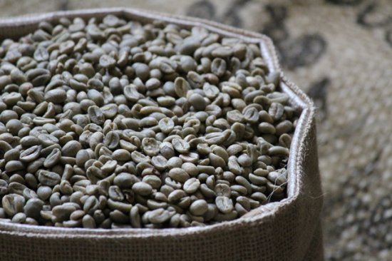 コーヒー生豆 メキシコ マヤビニック 200g (2021-2022年新豆) 農薬不使用