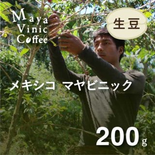 コーヒー生豆 メキシコ マヤビニック 200g (2021-2022年新豆) 農薬不使用