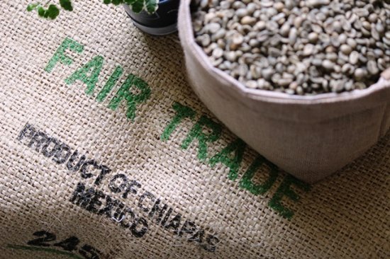 コーヒー生豆 メキシコ マヤビニック 1kg (2021-2022年新豆) 農薬不使用