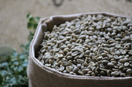 コーヒー生豆 メキシコ マヤビニック 1kg (2021-2022年新豆) 農薬不使用