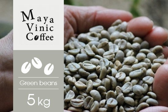 コーヒー生豆 フェアトレード メキシコ マヤビニック 5kg 農薬不使用 (1キロあたり 1,913円)