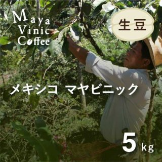 ★無農薬コーヒー生豆★ ＜新豆＞メキシコ マヤビニック 5kg （2020-2021年)