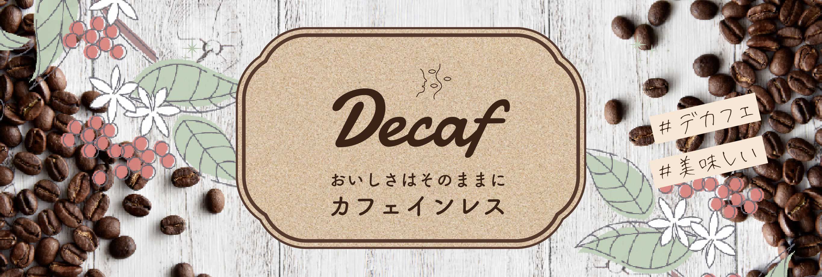 オーガニックコーヒー フェアトレードコーヒー 生豆 卸・通販の まだゆめのつづき