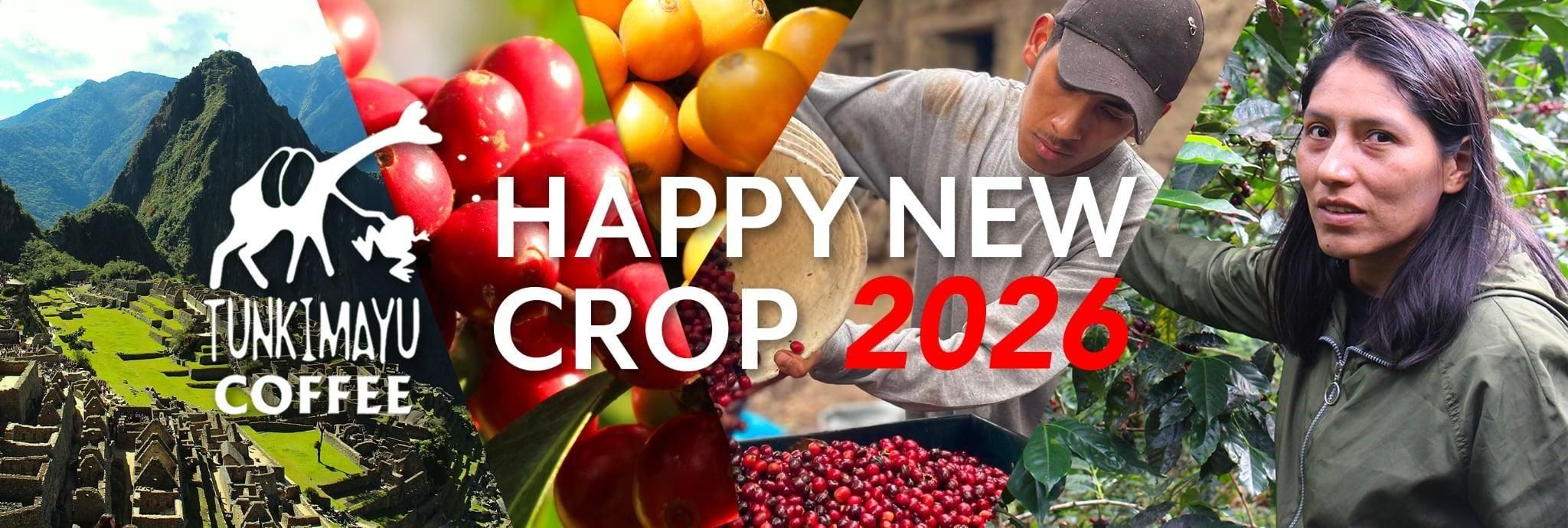 まだゆめのつづき