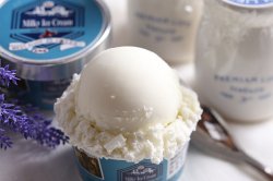 濃厚 バニラ/ミルク アイスクリーム ルーキーファーム ミルキーアイス 【 北海道 】