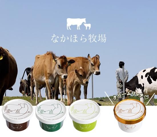 中洞牧場ミルクアイス チョコレート 濃厚チョコレート やまざと Com 中洞牧場ミルクアイス チョコレート 濃厚チョコレート やまざと Com