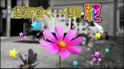  ϶ƻü˺餯ۤβ֤Τ褦˾ŤĿŤƹԤ 