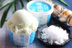 色々なアイスクリーム (エトセトラ） castano 奄美塩 【 鹿児島県 】