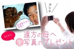  ˥̿Υץ쥼ȡ