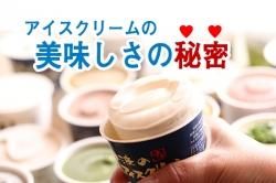  ꡼̣̩ʥСȤϲ