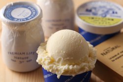 極選 いちごアイスクリーム 十勝アルプス牧場 バニラアイス 【北海道】