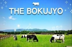 ɤʪ 줿ο٥åȡTHE BOKUJYO