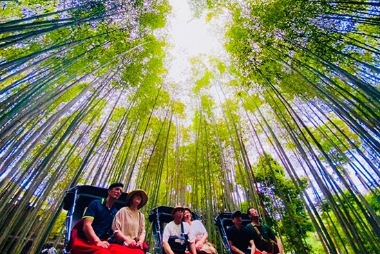 京都嵐山で先輩の「還暦お祝い」と「少しソフトクリーム」【画像8】