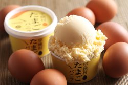極選 いちごアイスクリーム castano 宇検村たまごバニラ 【 鹿児島県 】
