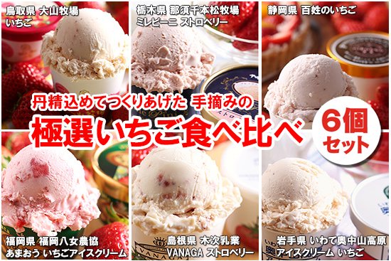 極選 いちごアイスクリーム セット (6個セット)
