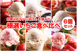 生産者-千本松牧場 【栃木県】 極選 いちごアイスクリーム セット (6個セット)