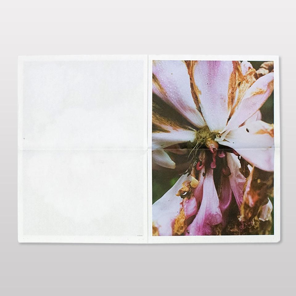 リナ・シェイニウス　FLOWERS FLOWERS - BOOK AND SONS オンラインストア