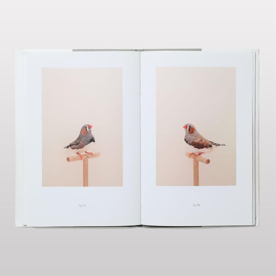 An Incomplete Dictionary of Show Birds - BOOK AND SONS オンライン