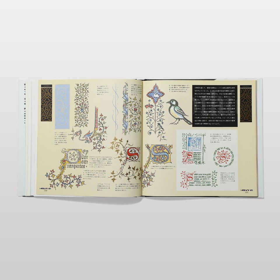 装飾文字の世界―カリグラフィー入門 - BOOK AND SONS オンラインストア