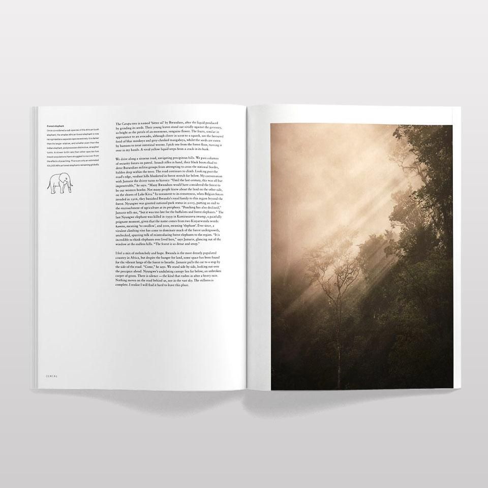CEREAL Volume 17 - BOOK AND SONS オンラインストア