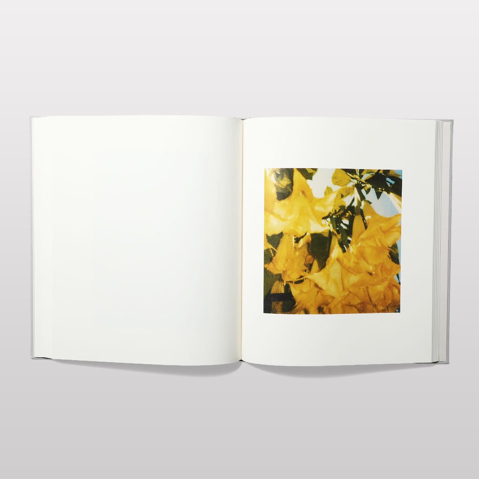 再入荷】サイ・トゥオンブリーの写真－変奏のリリシズム－ - BOOK AND