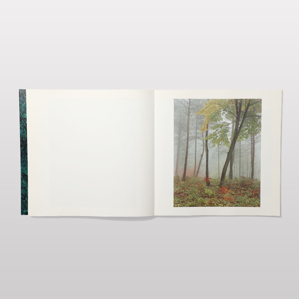 【再入荷】LOUIS VUITTON FOREST - BOOK AND SONS オンラインストア