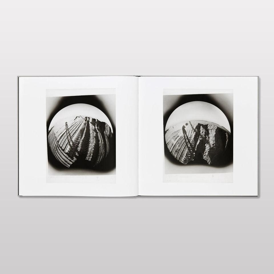 LUNARIO, 1968-1999 - BOOK AND SONS オンラインストア