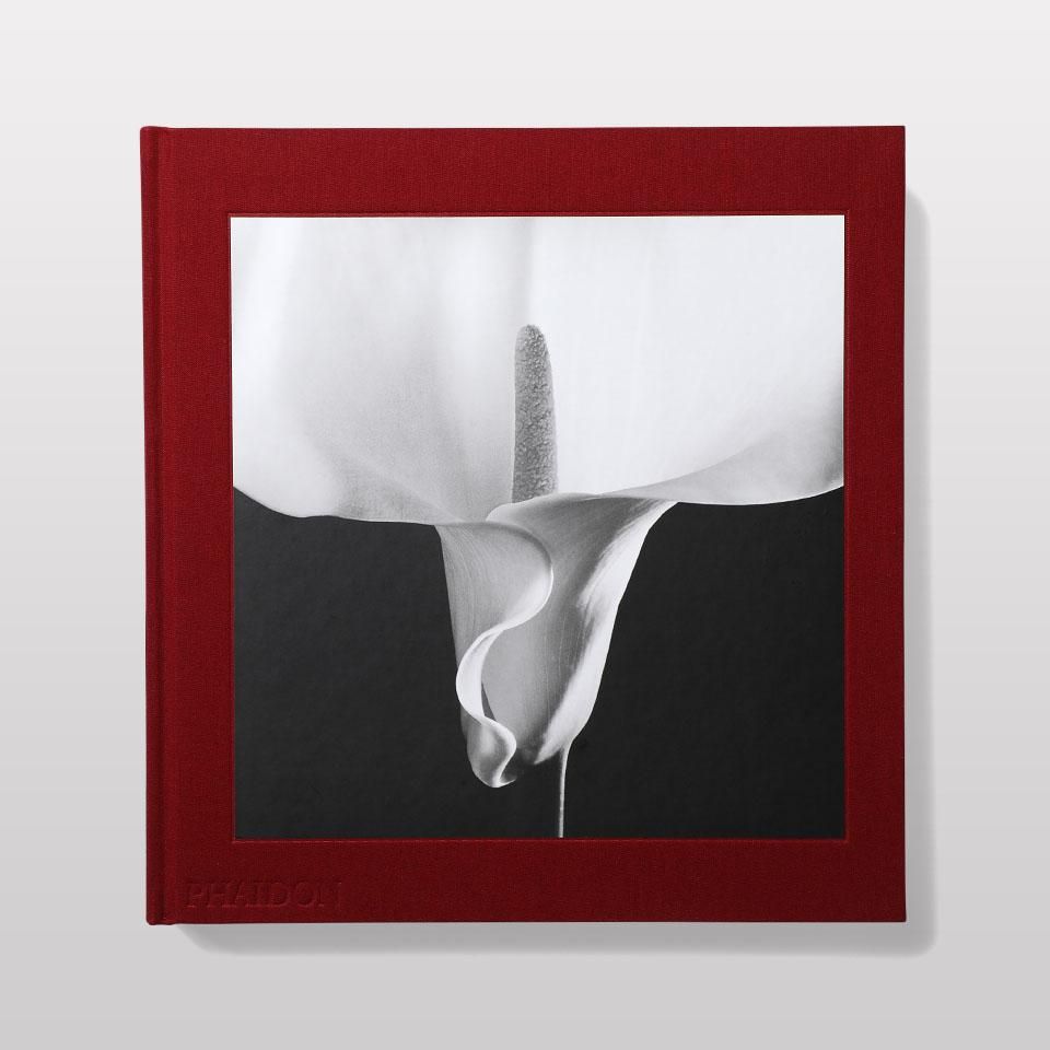 アート・デザイン・音楽 MAPPLETHORPE: THE COMPLETE FLOWERS Mapplethorpe Flora: The Complete Flowers by Robert