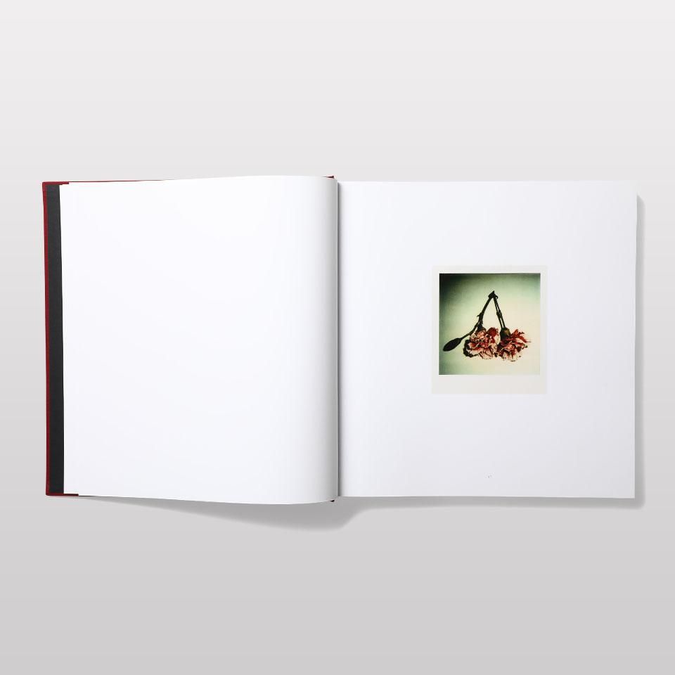 Mapplethorpe Flora: The Complete Flowers - BOOK AND SONS