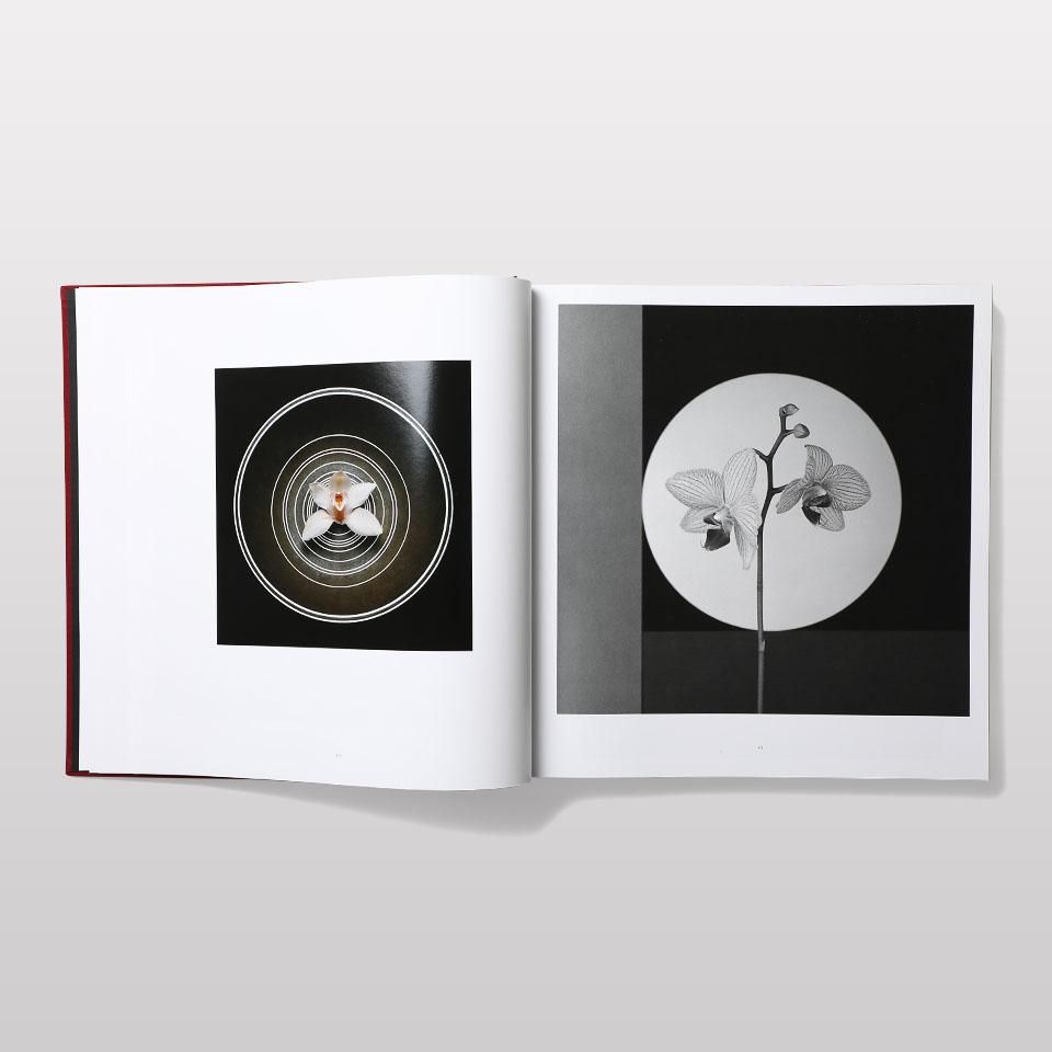 アート・デザイン・音楽 MAPPLETHORPE: THE COMPLETE FLOWERS Phaidon - Mapplethorpe Flora: The Complete Flowers | Gessato