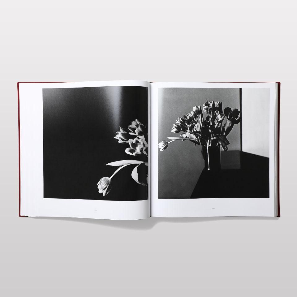 アート・デザイン・音楽 MAPPLETHORPE: THE COMPLETE FLOWERS アート・デザイン・音楽 MAPPLETHORPE: THE COMPLETE FLOWERS