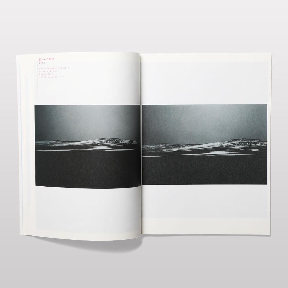 hinism 11 - BOOK AND SONS オンラインストア