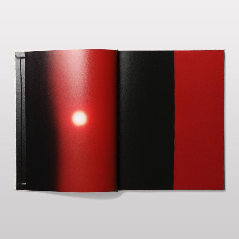Abandom Reverie' ” | Mark Borthwick | First Edition