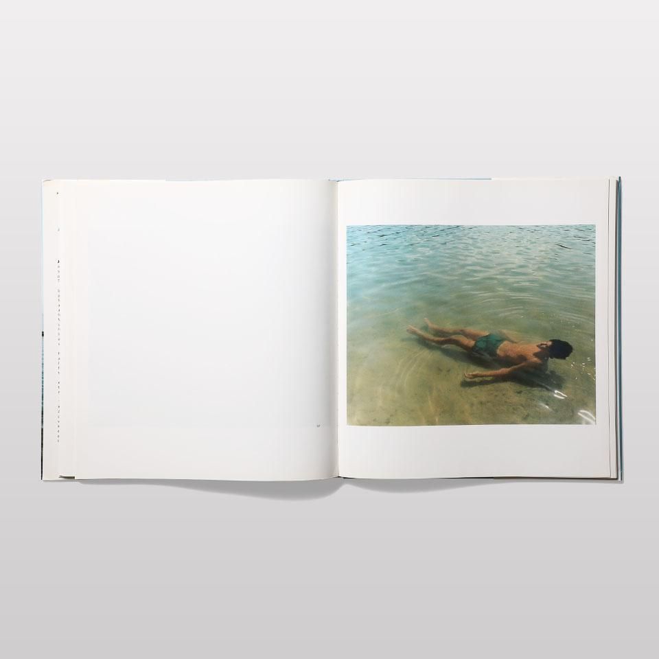 A SUMMER'S DAY Joel Meyerowtiz - BOOK AND SONS オンラインストア