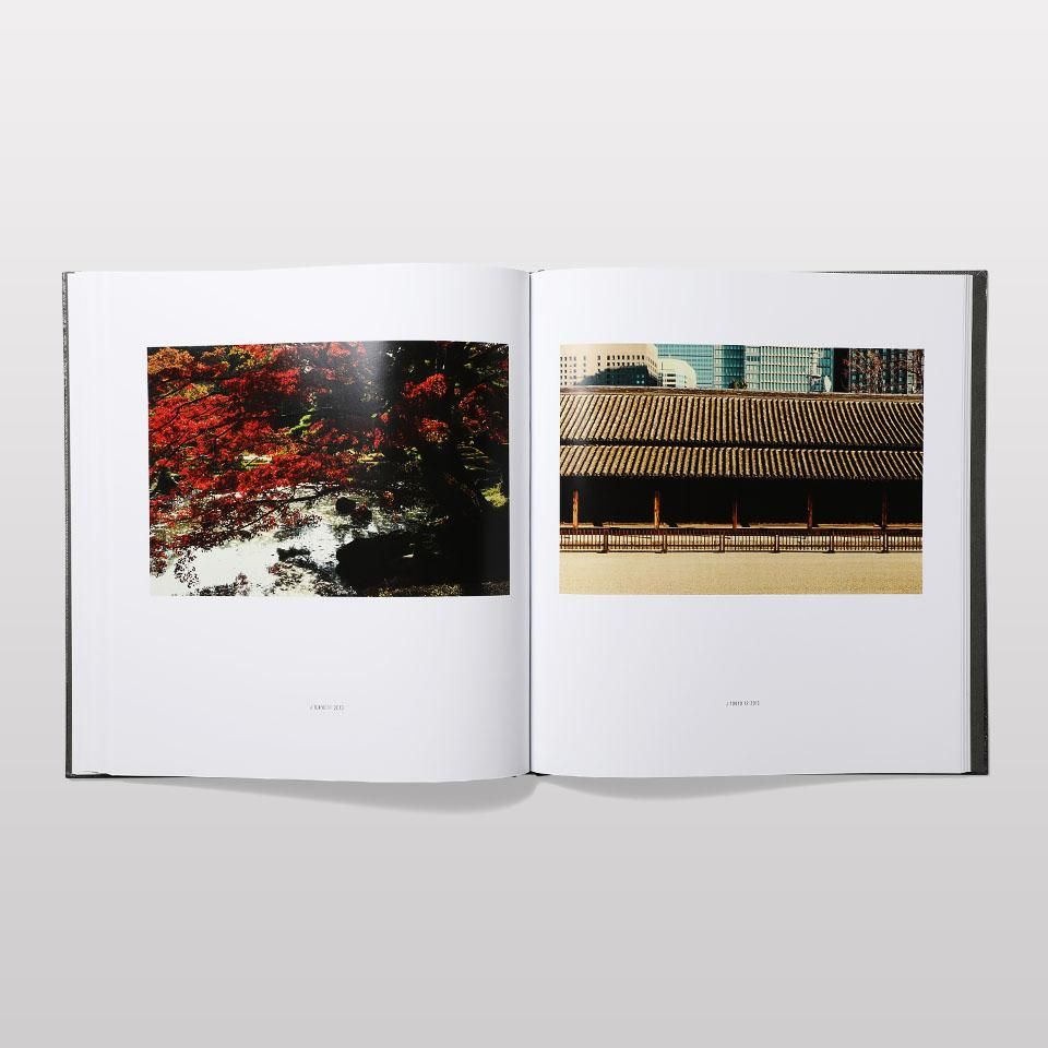 (初版 ) WOODLANDS: MAT HENNEK (洋書) Silent Cities - BOOK AND SONS オンラインストア