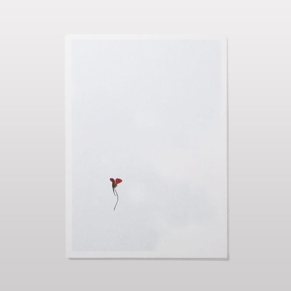 再入荷】FLOWER - BOOK AND SONS オンラインストア