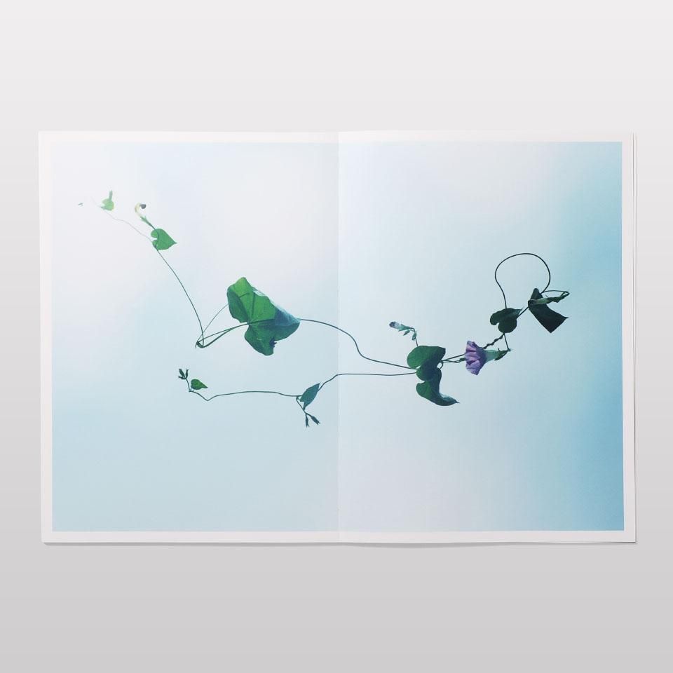 一流の品質 再入荷】FLOWER - オンラインストア SONS AND BOOK 芸術写真