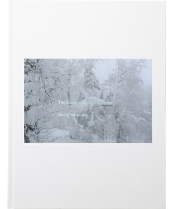 渡辺洋一 Essence of the Winter Forest 写真集 The Essence of the Winter Forest - BOOK AND SONS オンライン