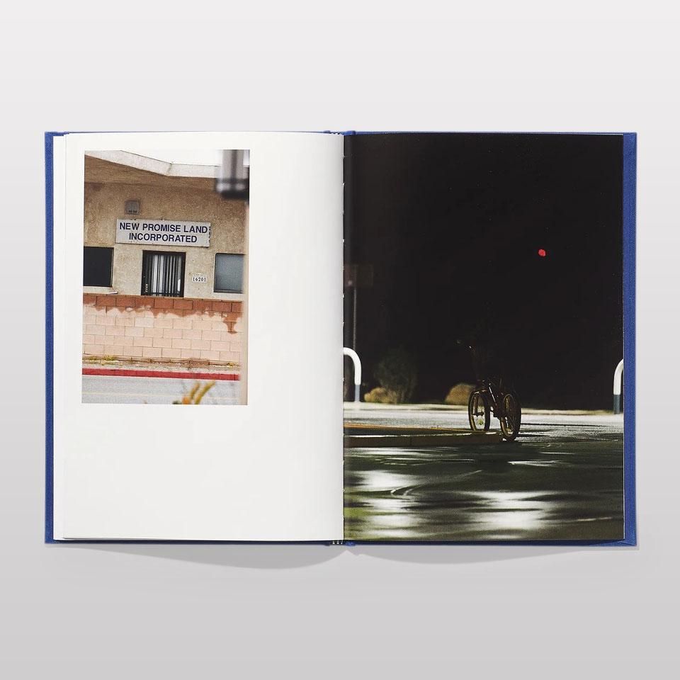 NEW PROMISE LAND, INC. N°20 - PETER SUTHERLAND - BOOK AND