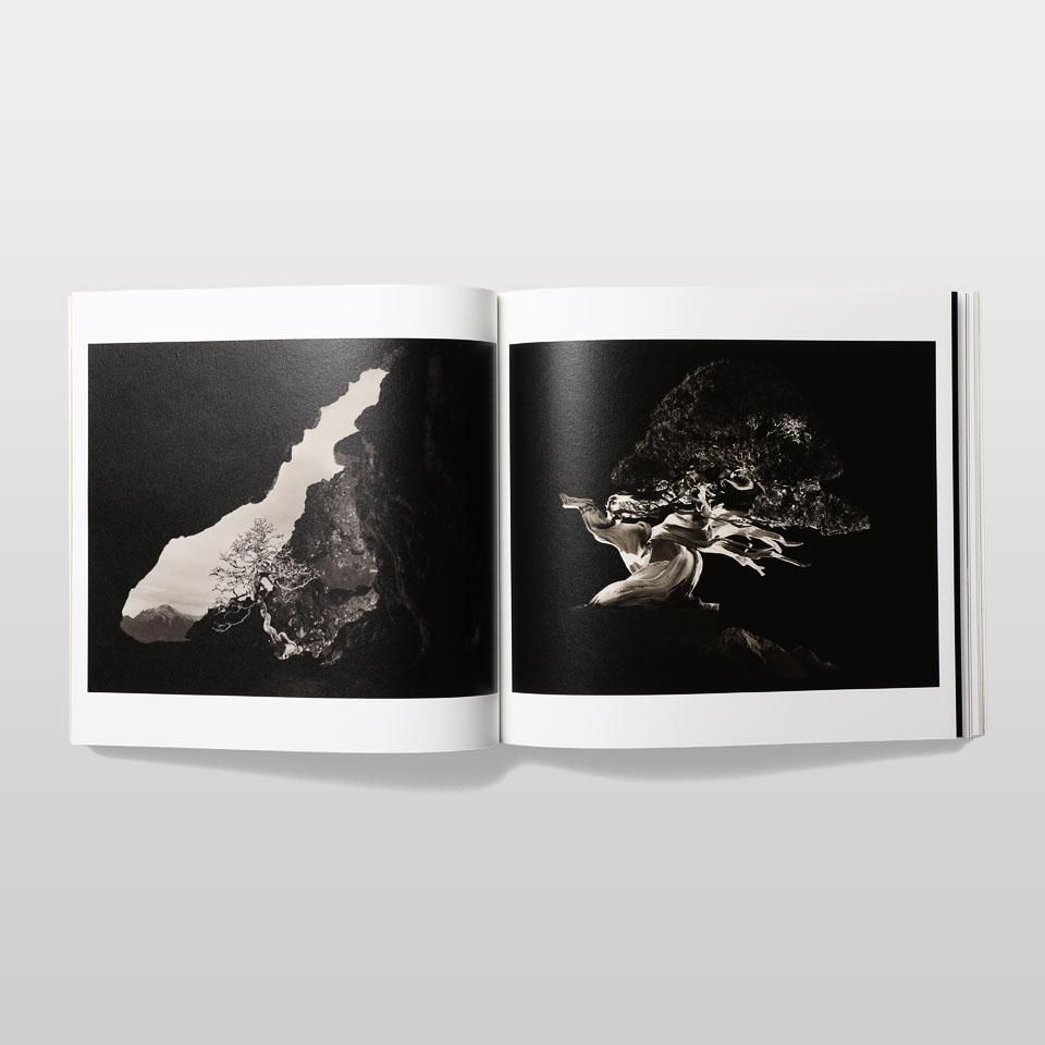 山本昌男　「手中一滴」 手中一滴 | 山本 昌男, 秋山 実, 上田 勢子 |本 | 通販 | Amazon