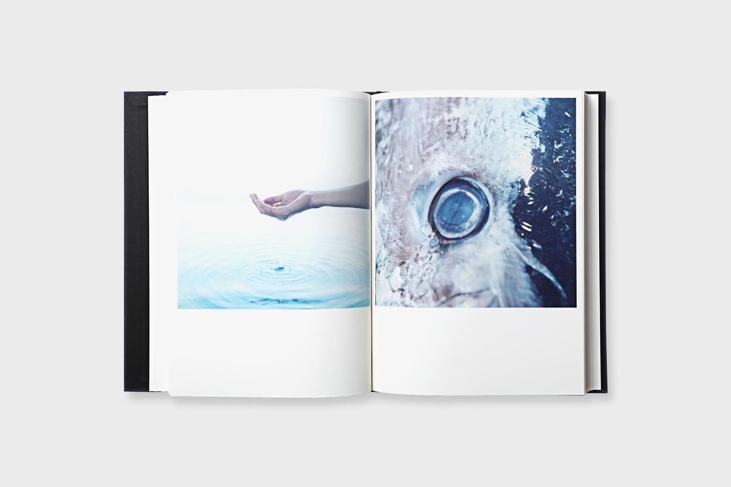 再入荷】Illuminance - BOOK AND SONS オンラインストア
