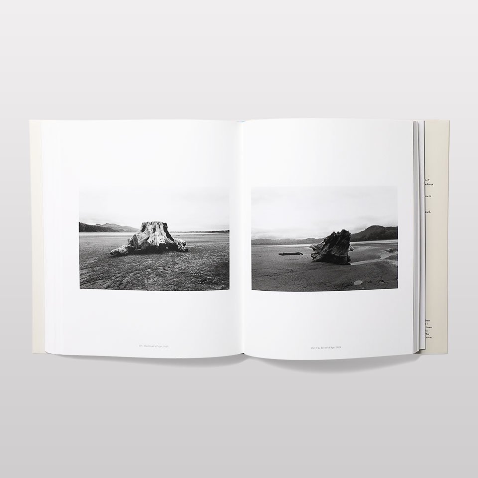 海外美術館限定】robert adams ポスター - 美術品