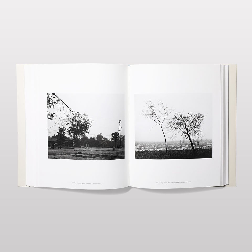 海外美術館限定】robert adams ポスター - 美術品