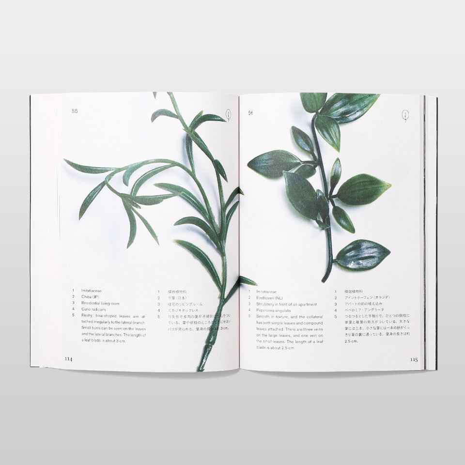Anthropophyta / 人工植物門 - BOOK AND SONS オンラインストア