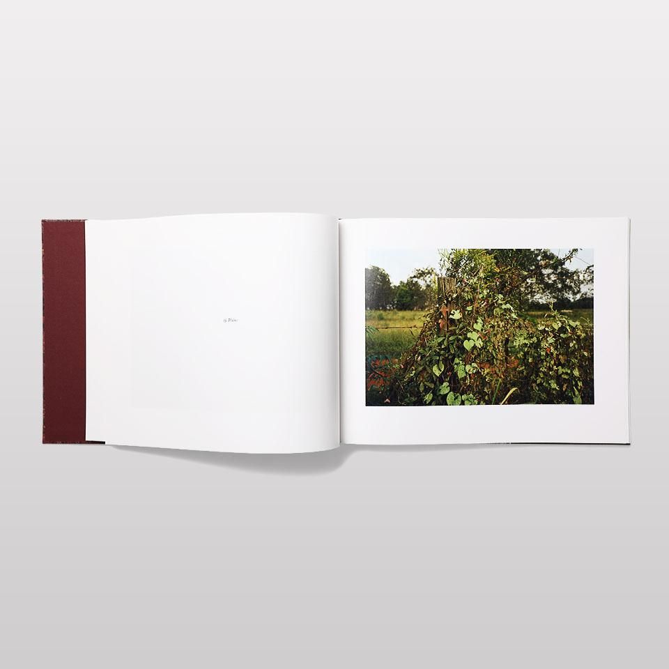 Election Eve - BOOK AND SONS オンラインストア