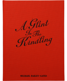 A Glint In The Kindling